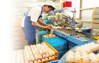 GPセンター風景